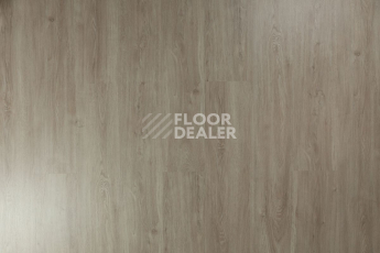 Tarkett Funky House GUSTO фото 6 | FLOORDEALER
